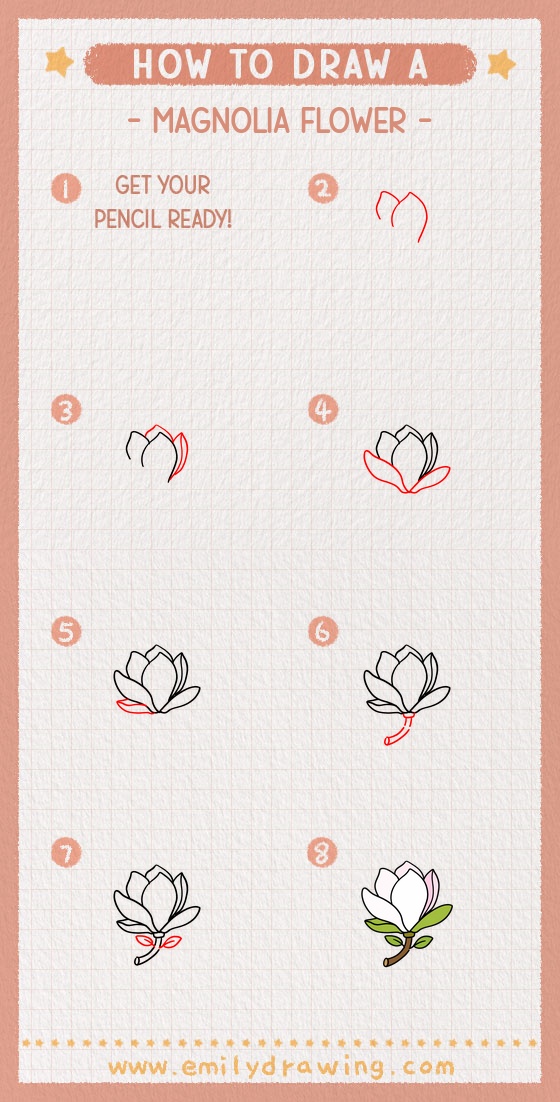 how to draw a magnolia flower pinterest pin